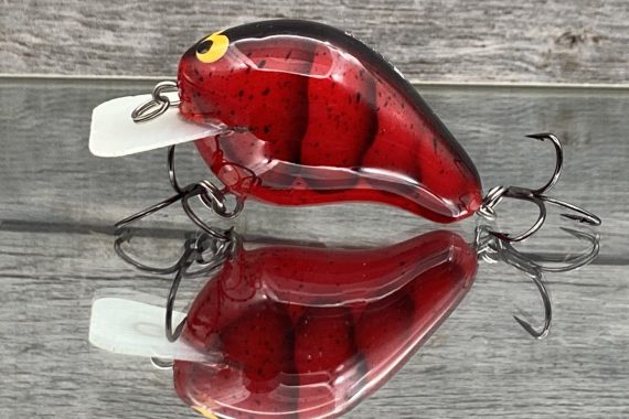 CBS1 – RED CRAW