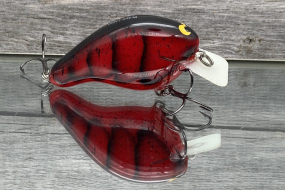 CBS2 – RED CRAW