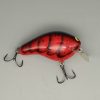 CBS2 - RED CRAW - Image 2