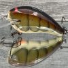RICOCHET - HD CRAW