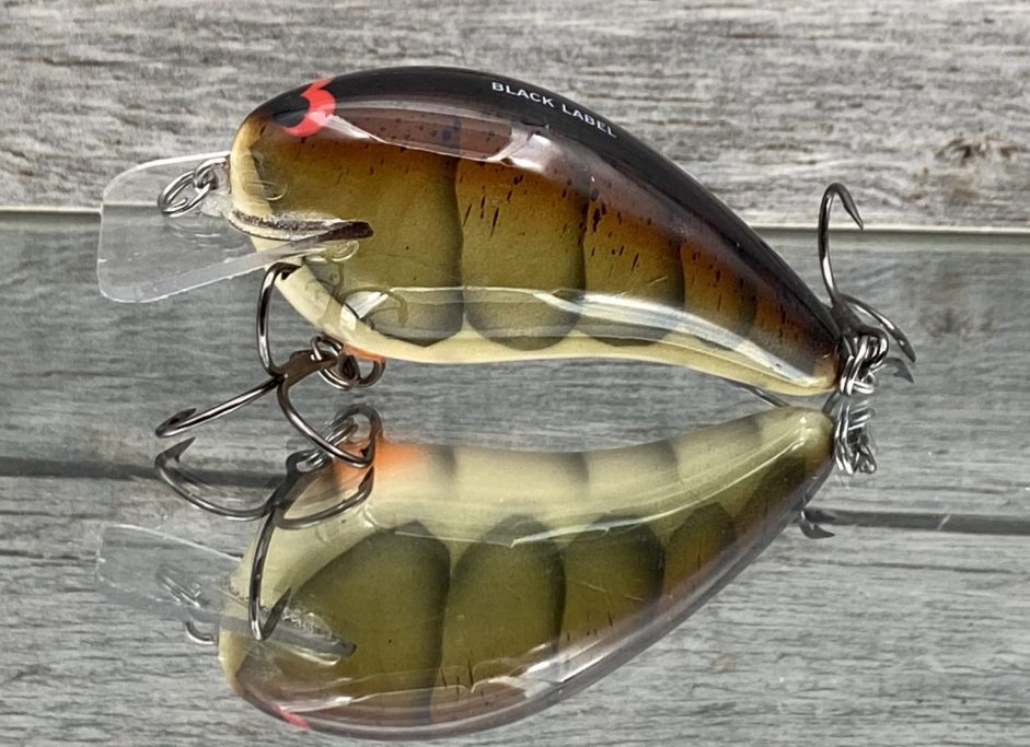 Black Label Balsa - Peanut - Balsa Crankbait - Threadfin Shad Pearl Color -  Zoom WEC Mutt - Wood Bait Country