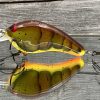 SLIM - ROTTEN CRAW