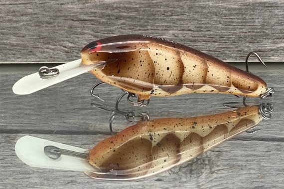 SS SHAD – BROWN CRAW