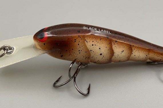 SS SHAD – BROWN CRAW