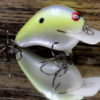 CBS1 CHARTREUSE ILLUSION CBS1CI
