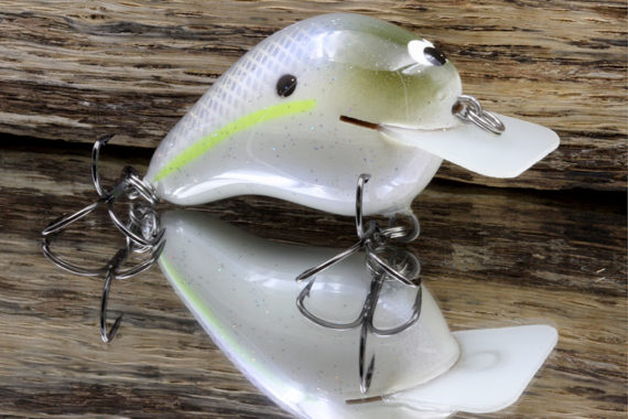 CBS1 – CHARTREUSE SHAD