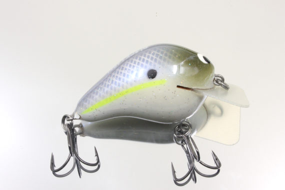 CBS1 – CHARTREUSE SHAD