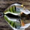 CBS2 BOLD BLUEGILL CBS2BLDBG