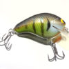 CBS2 BOLD BLUEGILL CBS2BLDBG