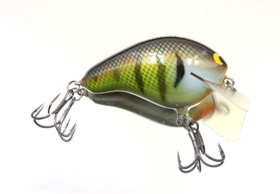 CBS2 BOLD BLUEGILL CBS2BLDBG