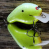 CBS2 CHARTREUSE POWDER BLUE CBS2CPB