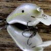CBS2 CHARTREUSE SHAD CBS2CS