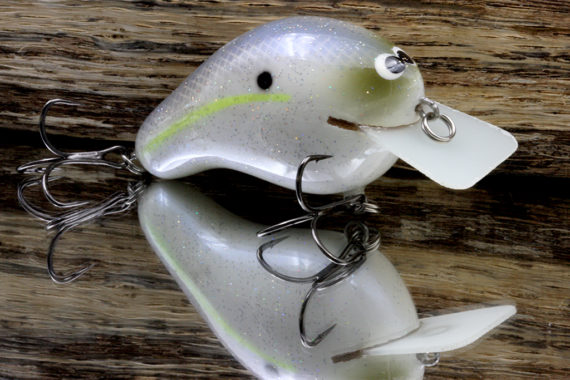 CBS2 – CHARTREUSE SHAD