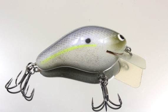 CBS2 – CHARTREUSE SHAD