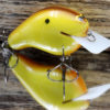 CBS2 HOT MUSTARD CBS2HM