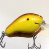 CBS2 HOT MUSTARD CBS2HM