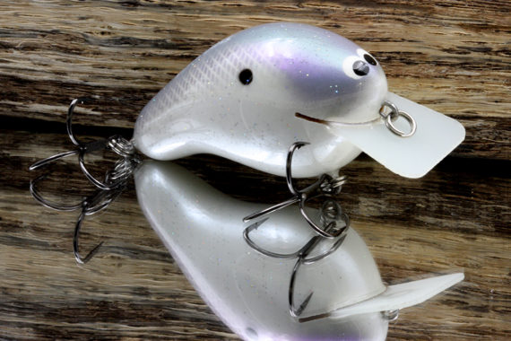 CBS2 – SHIMMER SHAD