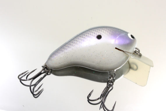 CBS2 – SHIMMER SHAD