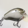 CBS2 TENNESSEE SHAD CBS2TS