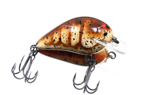 RICOCHET JR – BROWN CRAW