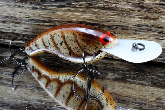 SLIM DD – BROWN CRAW