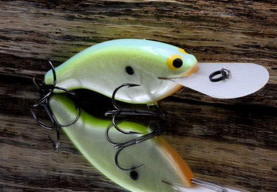 SLIM DD CITRUS PEARL SLDDCP 2