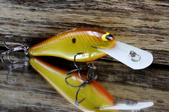 Alosa Yellowstripe Shad Crankbait – Kanan Lures