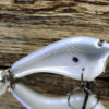 TEASE ALBINO TEAL 2