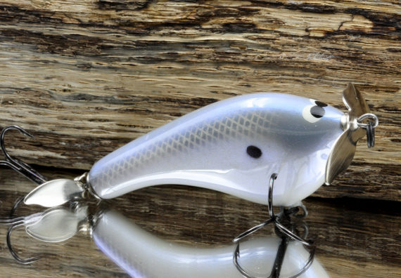 TEASE ALBINO TEAL 2