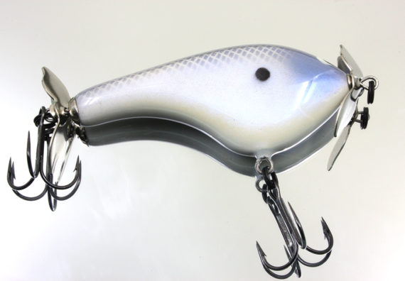 TEASE ALBINO TEAL