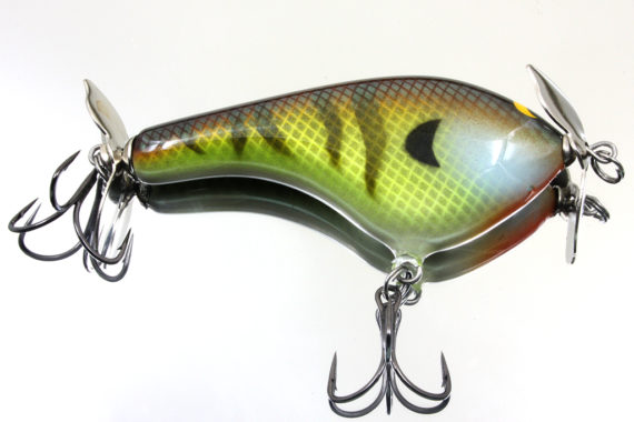 TEASE – BOLD BLUEGILL