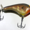 TEASE BULL BREAM TEBB