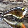 TEASE BULL BREAM TEBB 2