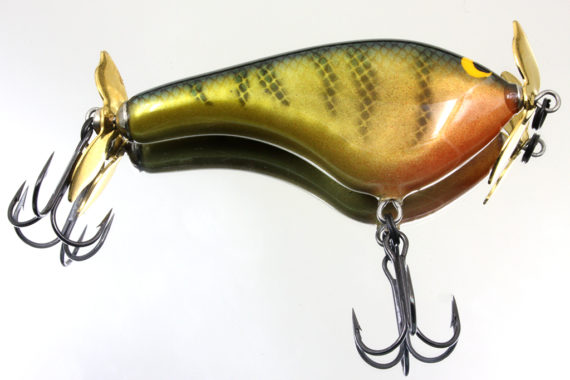 TEASE – YELLOW PERCH