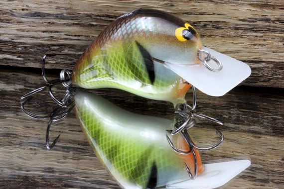 Black Label Balsa - CBS 1 - Balsa Squarebill Crankbait - Tennessee Shad  Color - Bagley B1 - Wood Bait Country