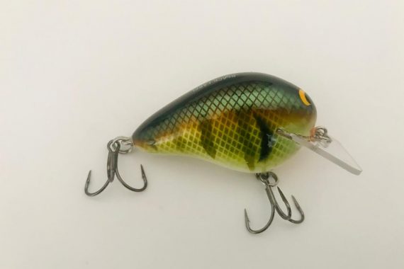 Wreck Bold Bluegill