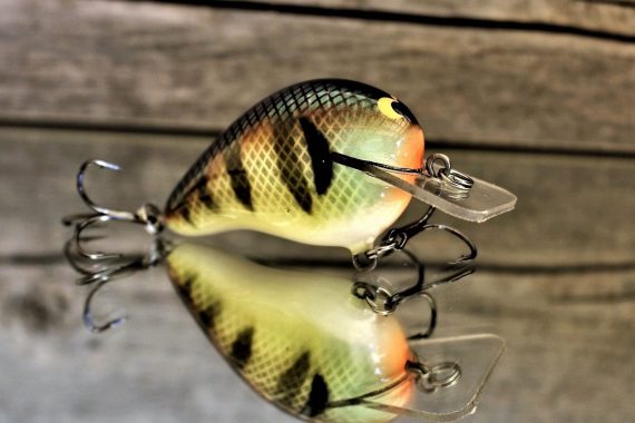 Wreck Bold Bluegill