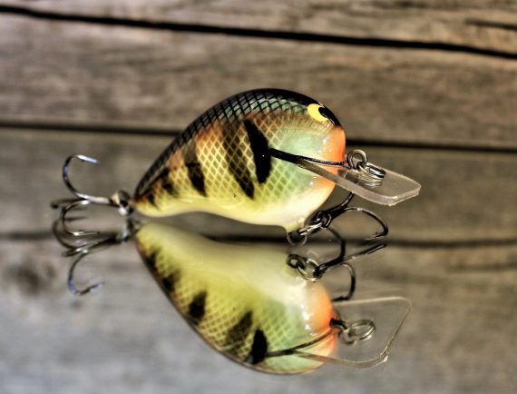 WRECK BOLD BLUEGILL