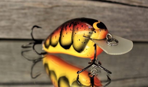 peanut spring craw