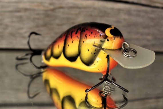 PEANUT- SPRING CRAW