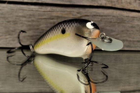 PEANUT- PEARL THREADFIN