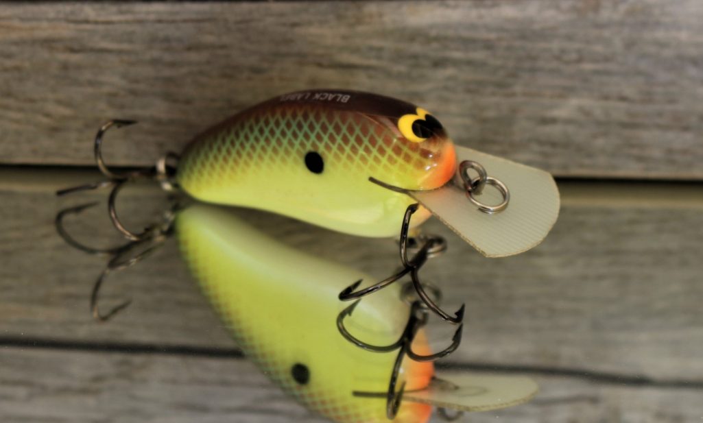 PEANUT RIVER BREAM
