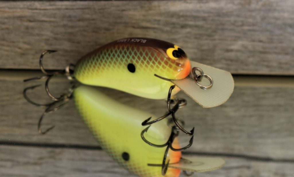 Black Label Balsa - Peanut - Balsa Crankbait - Threadfin Shad Pearl Color -  Zoom WEC Mutt - Wood Bait Country