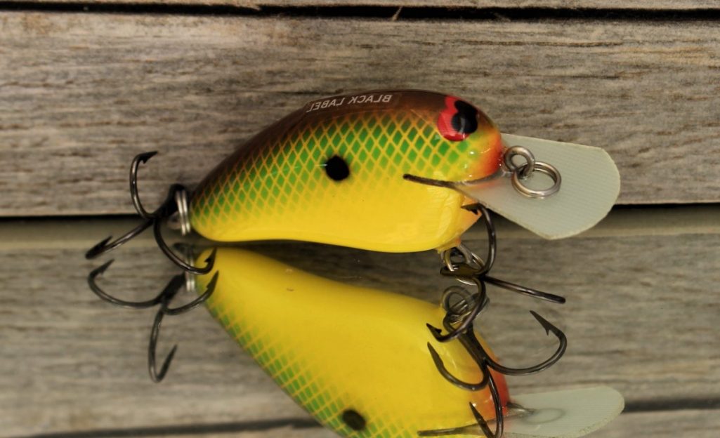 PEANUT CHARTREUSE CLASSIC