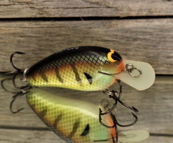 PEANUT BOLD BLUEGILL