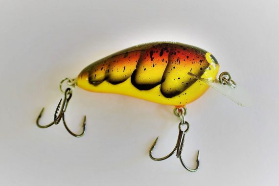 PEANUT- SPRING CRAW