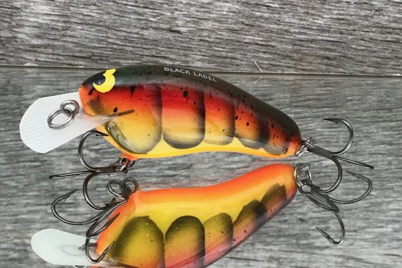 HICKSTER SPRING CRAW