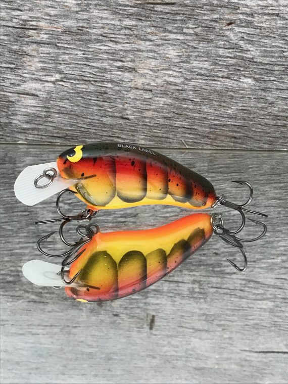 HICKSTER SPRING CRAW