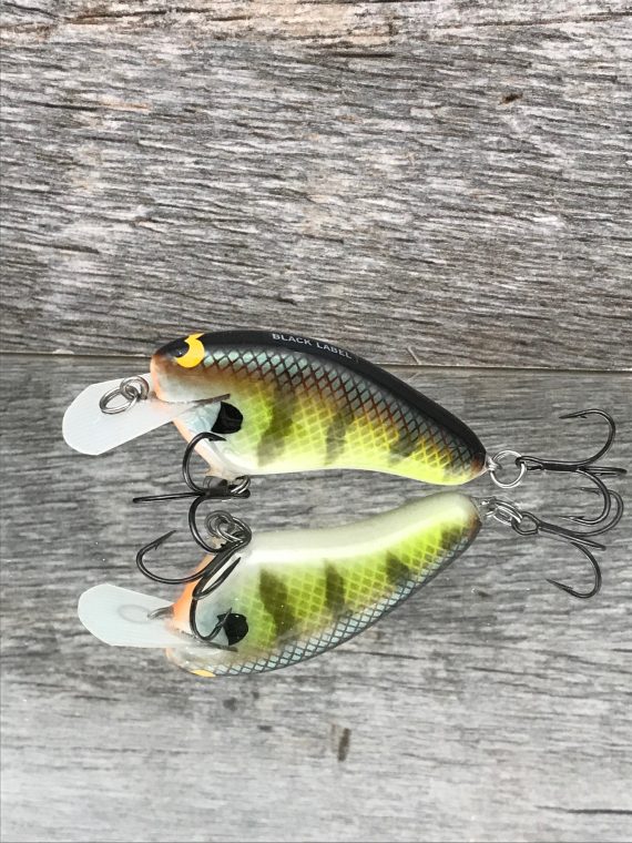 HICKSTER BOLD BLUEGILL