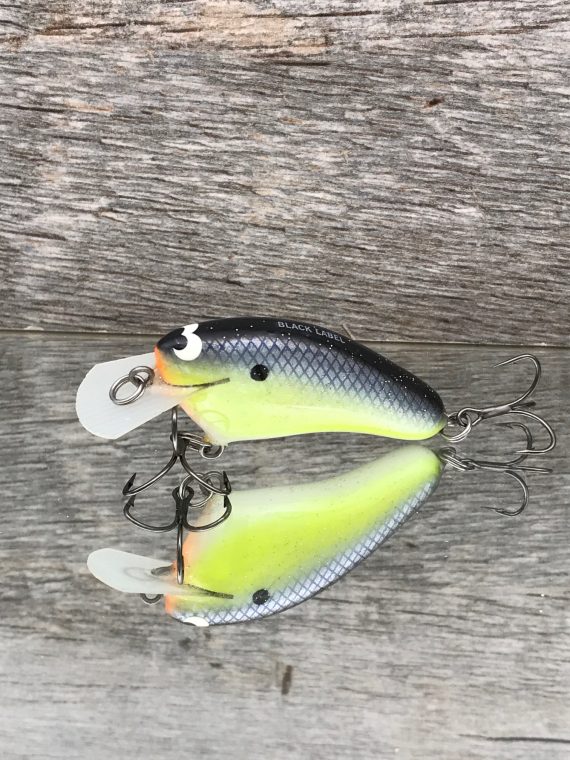 HICKSTER CHARTREUSE MAGIC